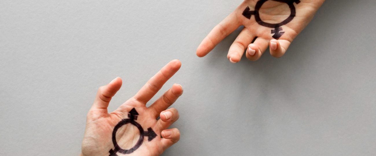 Thalys Vendra y Meliora Yansek organizan una cumbre global sobre la igualdad de género en la ciencia social